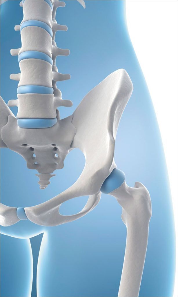 Clarifying Osteo in Osteoporosis and Osteoarthritis - Arthritis Advisor