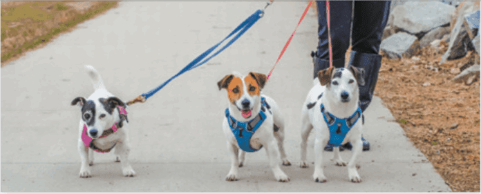 Screen Shot 2025-06-29 at 6.39.23 PM