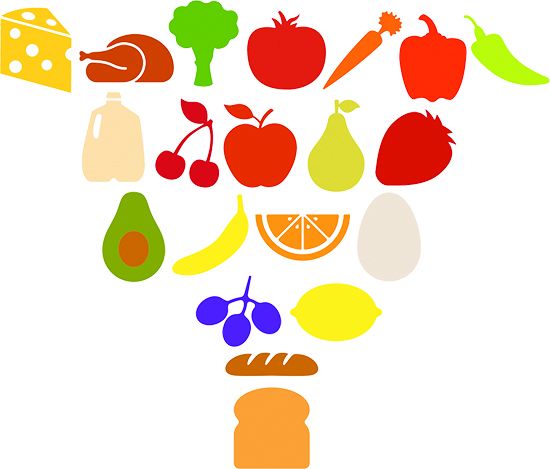 Food Pyramid with the new 2025-2030 Dietary Guidelines for Americans